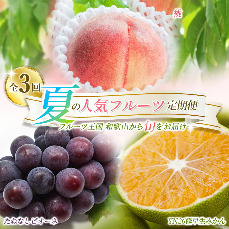 【ふるさと納税】 【定期便】夏の人気フルーツ定期便！桃・ピオーネ・極早生みかん（全3回）/ フルーツ 果物 もも モモ ぶどう ブドウ みかん ミカン 柑橘 旬 定期便