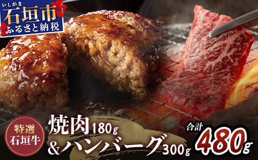 ≪特選≫ 石垣牛100% ハンバーグ (100g×3個) ＆ ≪特選≫ 石垣牛 元卸のお任せ焼肉 (180g) セット（八重山パーツミート）I-17-1