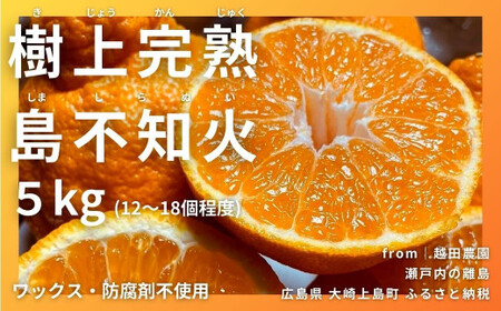 瀬戸内の不知火 5kg(12～18個程度) 【2027/2月～4月発送 先行予約 】 ワックス 防腐剤不使用