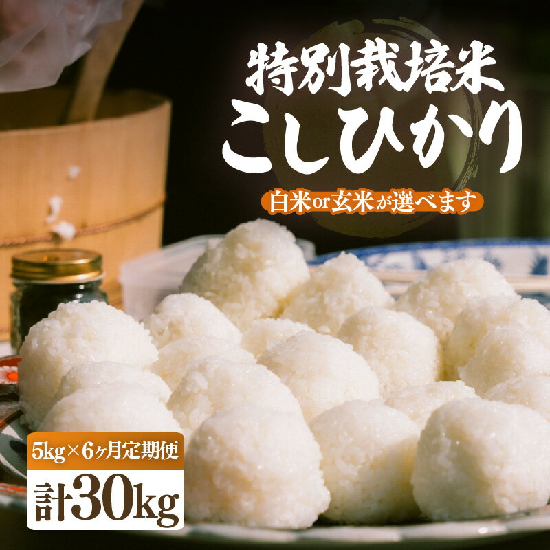 【ふるさと納税】【先行予約】【令和7年産・新米】定期便 ≪6ヶ月連続お届け≫ 特別栽培米 こしひかり 5kg × 6回（合計30kg）【選べる精米方法：白米/玄米】【10月中旬前後より順次発送予定】【こめ コシヒカリ 人気品種 ブランド米 5キロ 白米 精米 玄米 おにぎり 福井県】