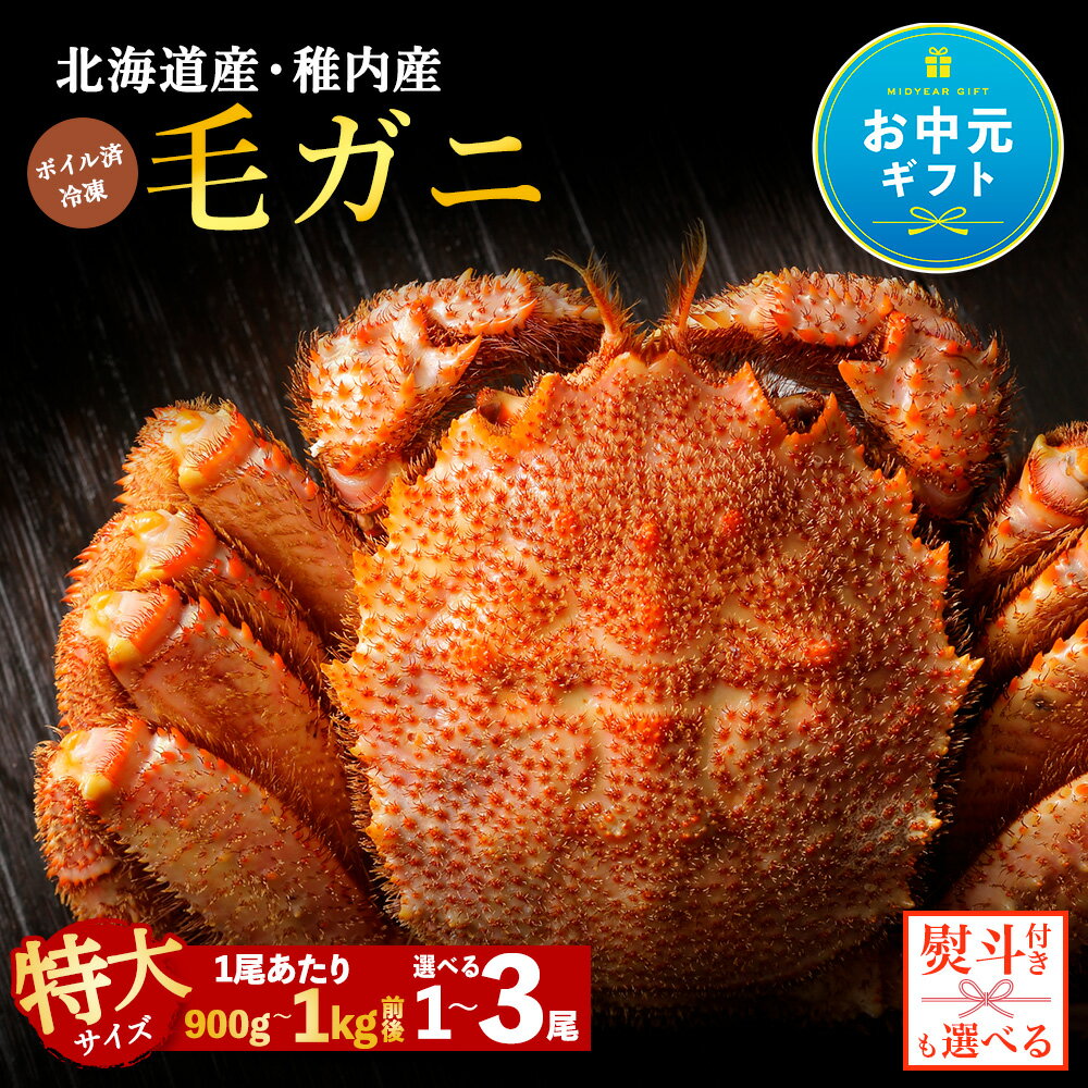 【ふるさと納税】【お中元ギフト】2026年新物 【内熨斗付】【ボイル済み急速冷凍】身がパンパンに詰まった稚内産毛ガニ 選べる1尾〜3尾 1尾900g〜1kgボイル 毛がに 毛ガニ 毛蟹 ボイル 蟹 カニ 北海道ふるさと納税 稚内 【配送不可地域：離島・沖縄県】