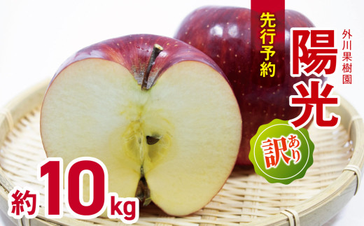 【2026年先行予約】訳あり 陽光 約10kg ｜  外川果樹園 リンゴ りんご 林檎 果物 フルーツ 果実 果汁 陽光 ようこう わけあり 訳アリ 長野県 松川村 信州