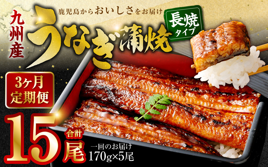 
JS-224【3カ月定期便】 九州産うなぎ蒲焼 約170g×5尾×3回
