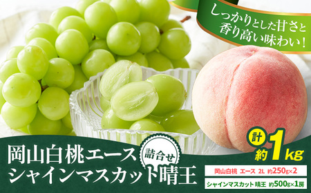 【先行予約】岡山県産 岡山白桃 エース L～3Lサイズ シャインマスカット 計 1kg 詰合せ 株式会社 はちや《7月上旬-8月下旬頃出荷》【配送不可地域あり】