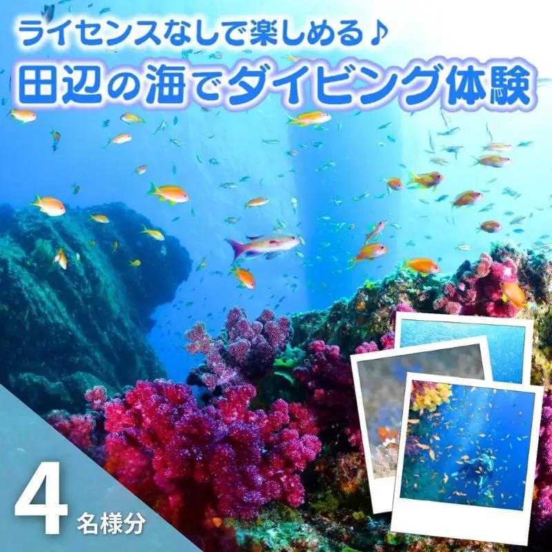 【和歌山 田辺・体験／1ボートダイビング】気軽に水中の世界を体験♪　4名様 / ダイビング スキューバダイビング ファンダイビング マリンスポーツ 体験 旅行 観光 レジャー アウトドア サンゴ 熱帯魚 水中 癒し【tds002-4-1】