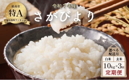 【2026年8月配送】令和7年産 さがびより 10kg×3回定期便 ／米 お米 返礼品 飯 ごはん 弁当 銘柄米 白米 県産米 佐賀県産 国産米 精米 ブランド米 おにぎり 国産 食品 人気 おすすめ ふるさと納税米 精白米 主食 ご飯