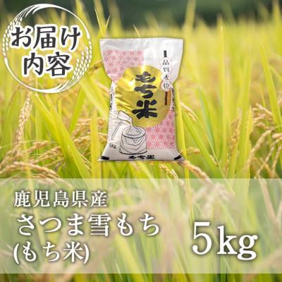 ふるさと納税 伊佐市 鹿児島県産もち米(5kg)  伊佐米 isa809 |  | 03