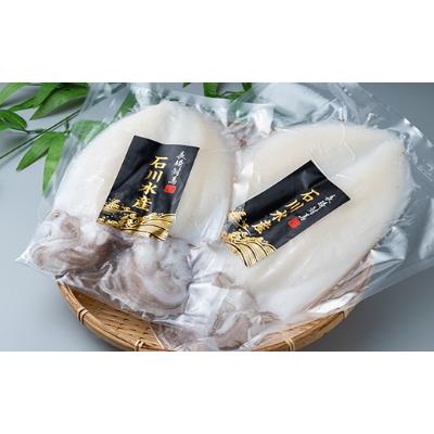 ふるさと納税 対馬市 【対馬産】 水イカ(アオリイカ)生冷凍1.5kg