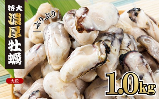 急速冷凍！ 国産牡蠣1kg（500g×2袋）冷凍 加熱用 殻なし 牡蠣フライ・鍋に◎ 国産 かき 牡蠣 海鮮 急速凍結 鍋 の季節に もつ鍋 水炊き 寄せ鍋 にも合う 小分け カキフライ 牡蠣フライ グラタン にも最適！時短 福岡県 赤村 4S1