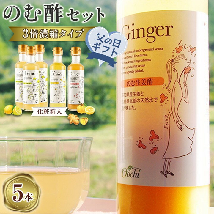 【ふるさと納税】【父の日ギフト】のむ酢セット（檸檬・柚子・生姜）【化粧箱入】5本＜のむ檸檬酢（3倍濃縮タイプ）200ml×3本・のむ柚子酢（3倍濃縮タイプ）200ml×1本・のむ生姜酢（3倍濃縮タイプ）200ml×1本）＞