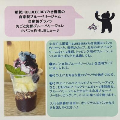 ふるさと納税 阿南市 みき農園のとびきり!ブルーベリーパフェ体験セット |  | 03