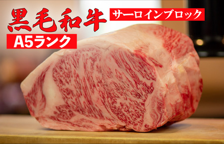 【定期便6回】黒毛和牛 A5 ブロック肉 食べ比べセット 6kg モモ・ヒレ・サーロイン