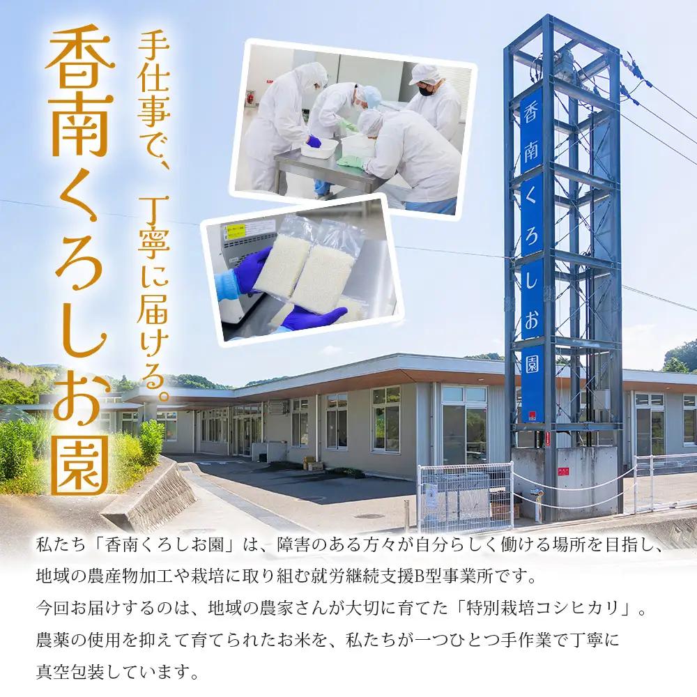 【令和８年度産】 米（コシヒカリ） 2合（300g) ×20 真空パック 小分け ke-0064