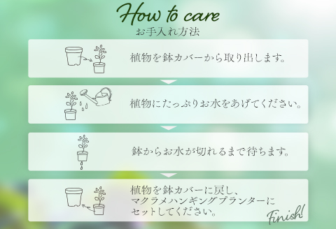 《黒》季節の観葉植物と3色から選べるマクラメハンギングプランタ―のセット