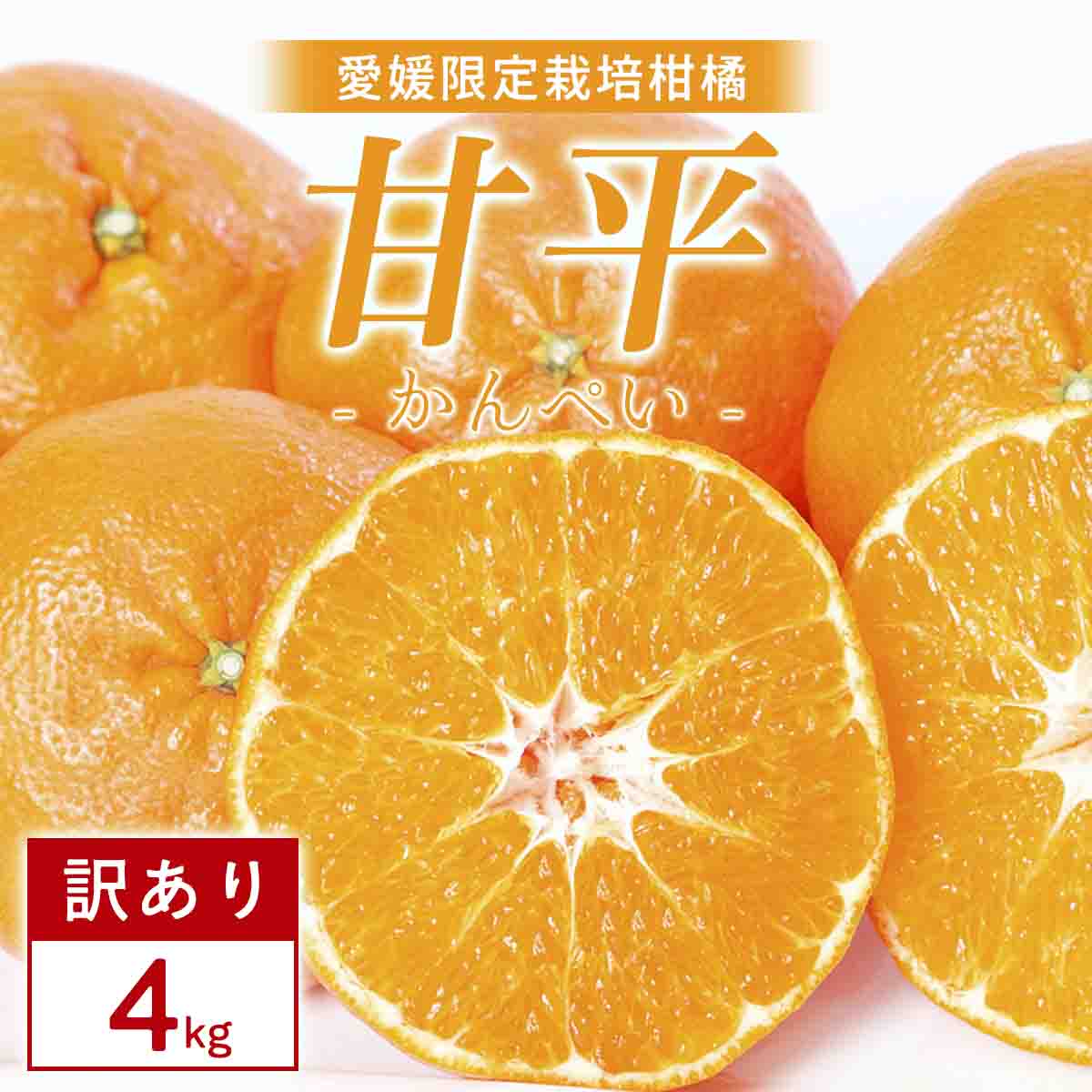 【訳あり】甘平 4kg 愛媛県 八幡浜市 西宇和地区 扁平で濃い味【E25-334】【1714526】 YWTAP275