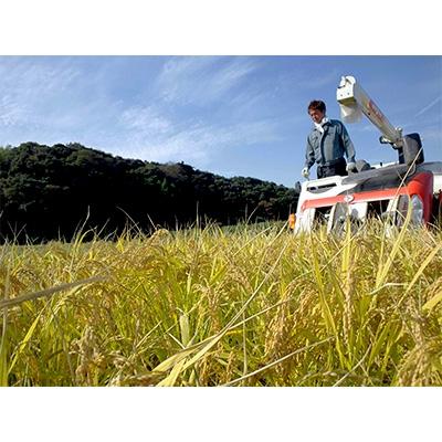 ふるさと納税 北栄町 鳥取県産日置さん家のお米　令和7年産きぬむすめ【無洗米】3kg×3袋 |  | 02