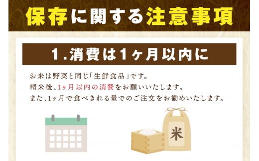 令和6年産 《無洗米》 食べ比べ さがびより ＆ 夢しずく 白米 各5kg（計10kg） B738