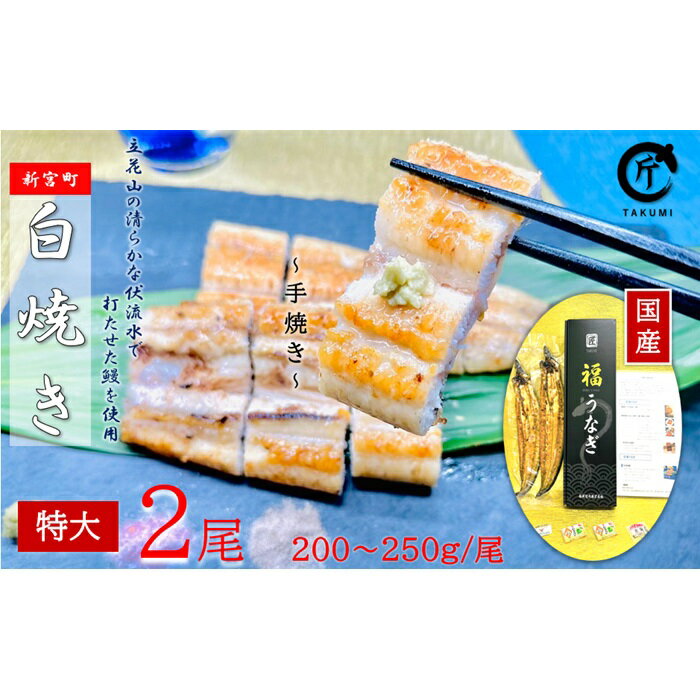 【ふるさと納税】国産うなぎ白焼2尾（計400～500g）.AH056