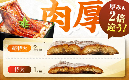 【新登場】【1尾約500g】超特大うなぎ蒲焼×3尾　広川町 / 株式会社イールファクトリー[AFBS033]