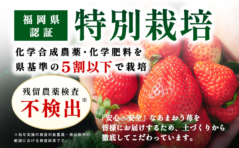 特選あまおう　400g 特選あまおう　400g