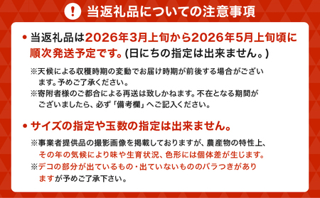 先行予約 不知火 約5kg 15玉〜22玉前後 2026年3月上旬から5月上旬発送予定 木村果樹園