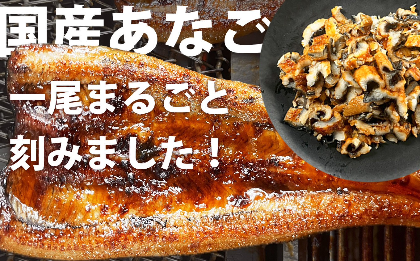 チラシちゃても美味しいかも