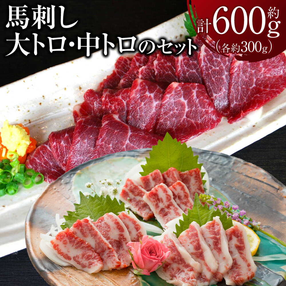 【ふるさと納税】大トロ・中トロ馬刺しのセット 計約600g（各約300g） 馬刺し 馬刺 馬肉 お肉 赤身 霜降り 厳選 ブロック 小袋醤油 しょうゆ 冷凍 ギフト グルメ セット 熊本 熊本県 益城町 送料無料