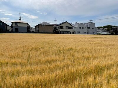 クラフトビール SHIBARIN BEER 6本セット お酒 ギフト お土産 贈り物 プレゼント_0074-001-se6