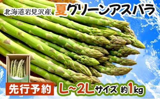 【先行予約／令和8年産】北海道岩見沢産　夏グリーンアスパラ　L〜2Lサイズ 1kg【41104】