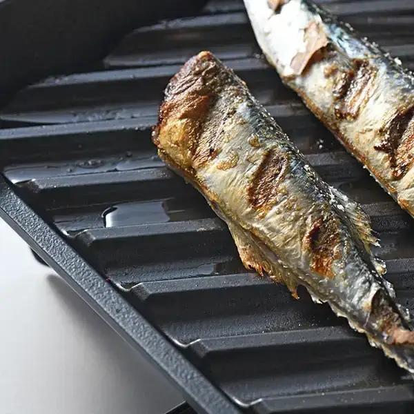 大人の焼魚 IH対応(IH200V) 炭グリル 調理器具 キッチン用品 