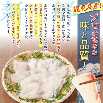 ふるさと納税 鹿児島市 【 生活応援 + マグロ中落丼 100g×1P 】 期間限定 鹿児島産 真鯛丼 70g×5セット |  | 01