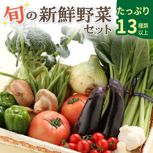 【0054-3】旬の新鮮野菜セットたっぷり13種以上