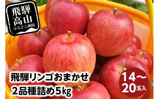 
飛騨リンゴ 5kg 14-20玉入り おまかせ２品種 食べ比べ 果物 りんご フルーツ 飛騨高山 9月 10月 11月 季節もの ぜんぞう果樹園 FX004
