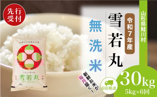 ＜令和7年産米先行受付＞ 鮭川村 雪若丸 【無洗米】 定期便 30kg （5kg×1ヶ月間隔で6回お届け）＜配送時期選べます＞
