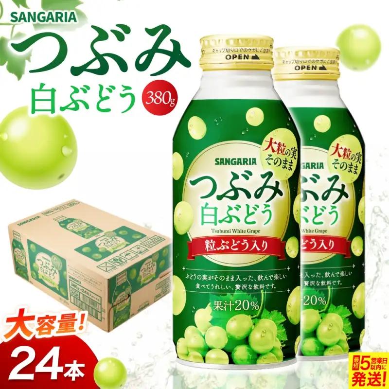 ジュース サンガリア つぶみ白ぶどう 380g×24本【igge0008】