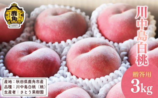 《 先行予約 》 桃 川中島白桃 3kg ( 9～10玉入 ) 【さとう果樹園】●2025年8月下旬発送開始 もも モモ 白桃 川中 完熟 旬 お見舞い 内祝い おすそ分け 完熟 国産桃 お中元 お歳暮 母の日 父の日 贈り物 贈答用 グルメ ギフト 故郷 秋田 あきた 鹿角市 鹿角 送料無料 