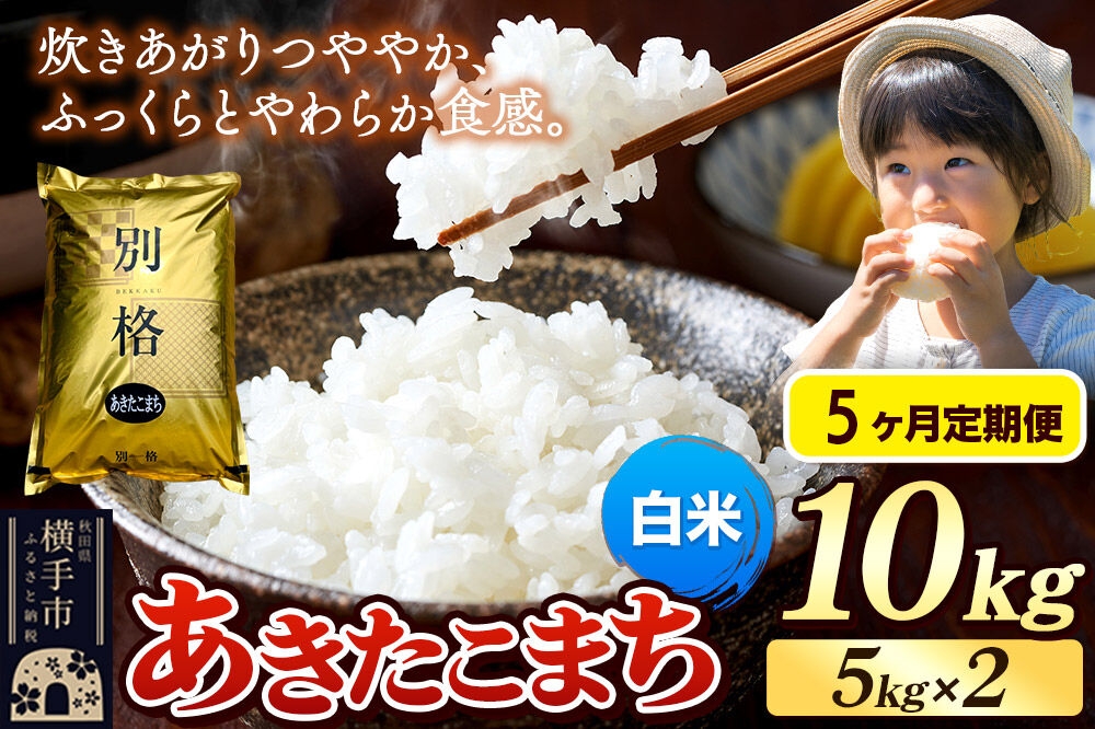 
            《令和7年産》《定期便5ヶ月》 米 あきたこまち 10kg（5kg×2袋） 【白米】 秋田県産
          