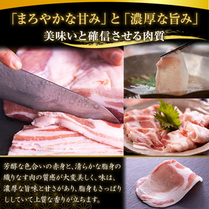 No.1239 高級かごしま黒豚！「黒宝豚」食べ比べセット(豚バラ/ロース/肩ロース:各300g) 国産 九州産 鹿児島県産 しゃぶしゃぶ 冷凍 黒豚 豚肉 お肉 豚バラ ロース 肩ロース 贈答 プレ