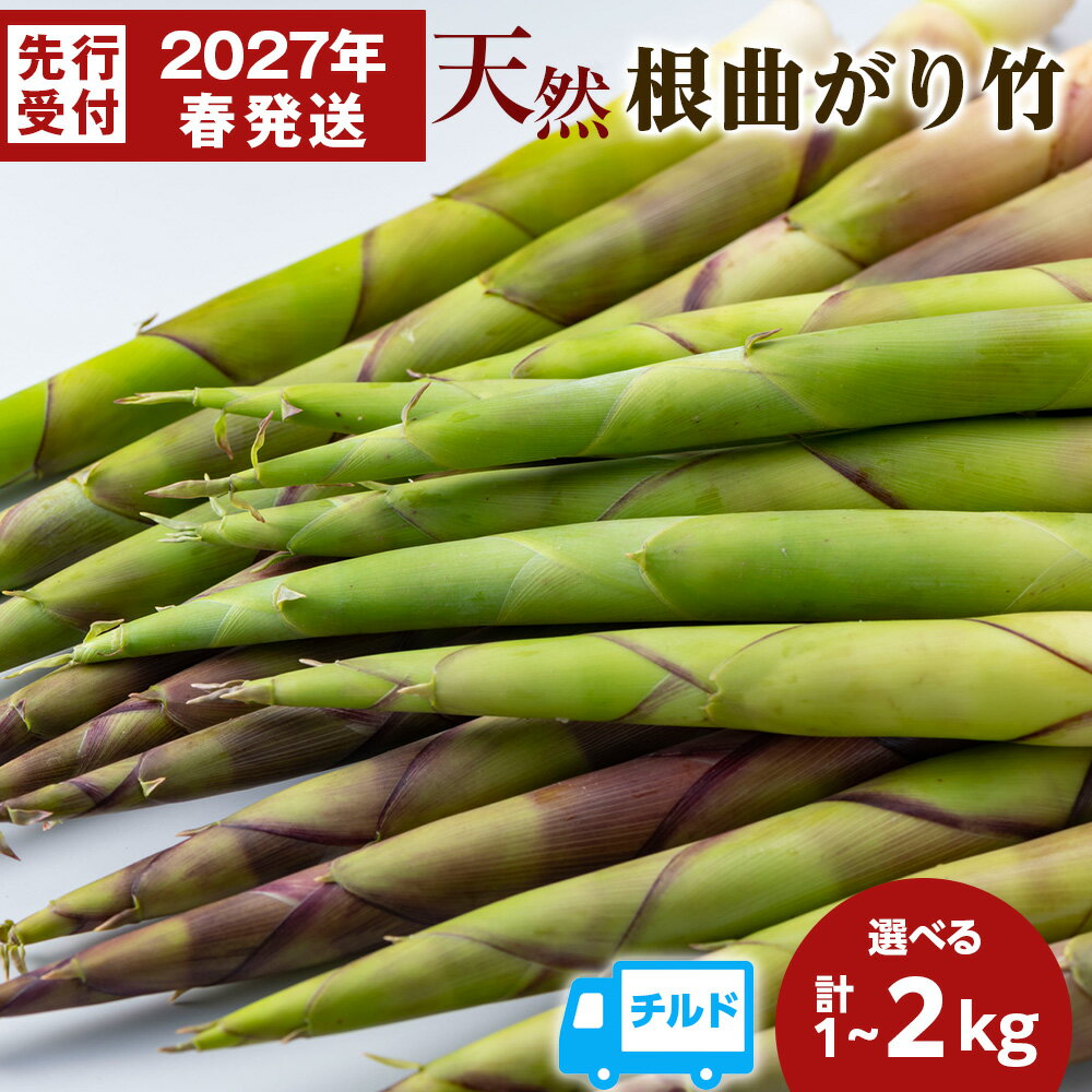 【ふるさと納税】【2027年発送予約】天然 根曲がり竹 選べる1kg・2kg 根曲竹 ネマガリタケ 姫竹 笹竹北海道ふるさと納税 稚内 ふるさと納税 北海道 山菜 根曲がり竹 春山菜 北海道産 タケノコ 筍 竹の子【配送不可地域：離島】