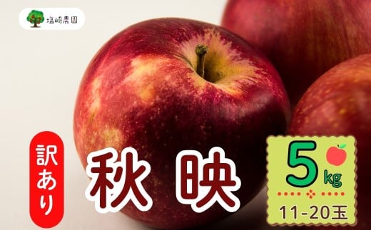 【先行予約】【訳あり】秋映（あきばえ）【約5kg(11〜20玉)】 規格外 (7-A26-2)