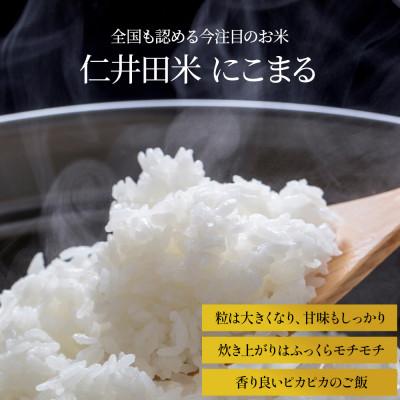 ふるさと納税 四万十町 【毎月定期便】四万十町産 無洗米「にこまる」 5kg全3回 |  | 03