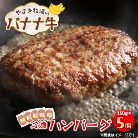 冷凍ハンバーグ150g×5個 交雑牛〈北海道大樹町やまき牧場のバナナ牛〉【配送不可地域：離島】【1507255】