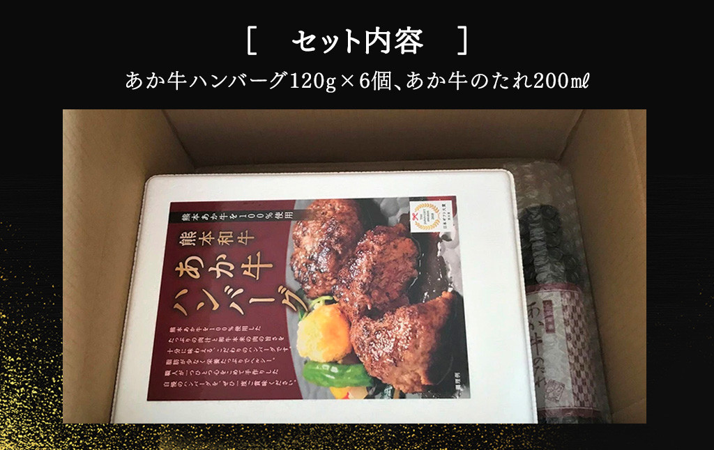 あか牛100％ハンバーグセット (あか牛ハンバーグ120g×6個、あか牛のたれ200ml付き)