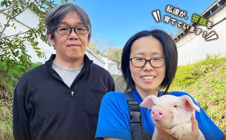 北海道産牛と笹豚の煮込みハンバーグ250g×6個セット