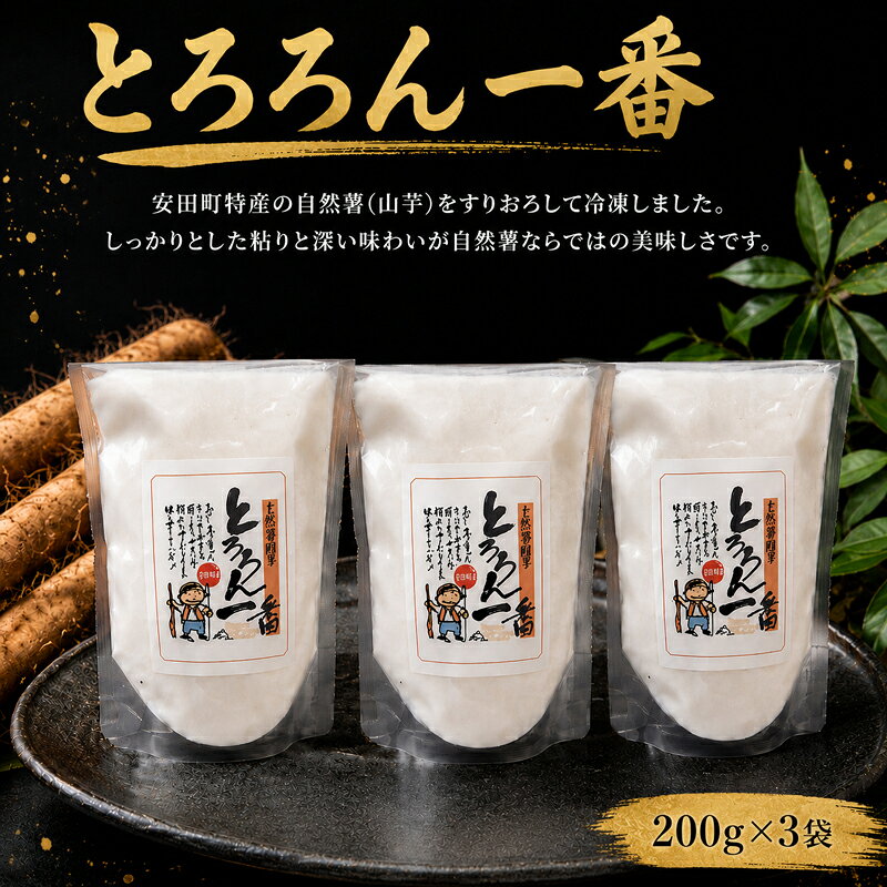 【ふるさと納税】 安田町中山産 自然薯とろろん1番(すりおろし)3袋 とろろ 冷凍 小分け 自然薯 すりおろし 200g 3袋 簡単調理 野菜 やさい 山芋 やまいも ふるさと納税野菜 ふるさと野菜 高知県 安田町 JN0001