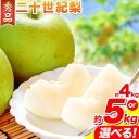 【ふるさと納税】なし 梨 秀品 二十世紀梨 選べる 約4kg 約5kg 高間商店《8月下旬-10月上旬頃出荷》鳥取県 八頭町 果物 フルーツ 和梨