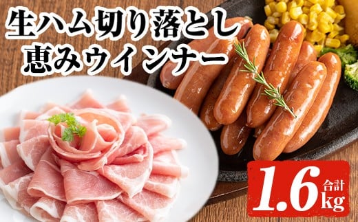 ＜2025年12月中に発送予定＞国産豚生ハム切り落とし・業務用荒挽き恵みウインナー(合計1.6kg) 生ハム おつまみ 小分け 【ナンチク】A941-12