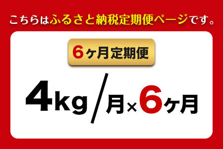 米 【6ヶ月定期便】令和5年産 ひのひかり 無洗米4kg 熊本県 荒尾市産 米 無洗米 つゆくさ農園 《お申込み月の翌月から出荷開始》