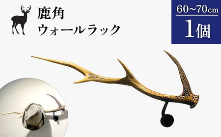 鹿角のウォールラック 1個 60cm～70cm【60008】
