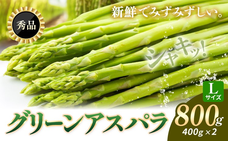 
                  【秀品/Lサイズ】朝採り 北海道日高産 グリーンアスパラ Lサイズ 800g (400g×2)  JA門別町 産地直送 4月上旬-5月末出荷 アスパラ 春野菜 鮮度抜群！旬の甘みを産地直送でお届け
                